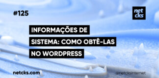 Como Obter Rapido as Informações do Sistema WordPress #125 Imagem Destacada do Post #125
