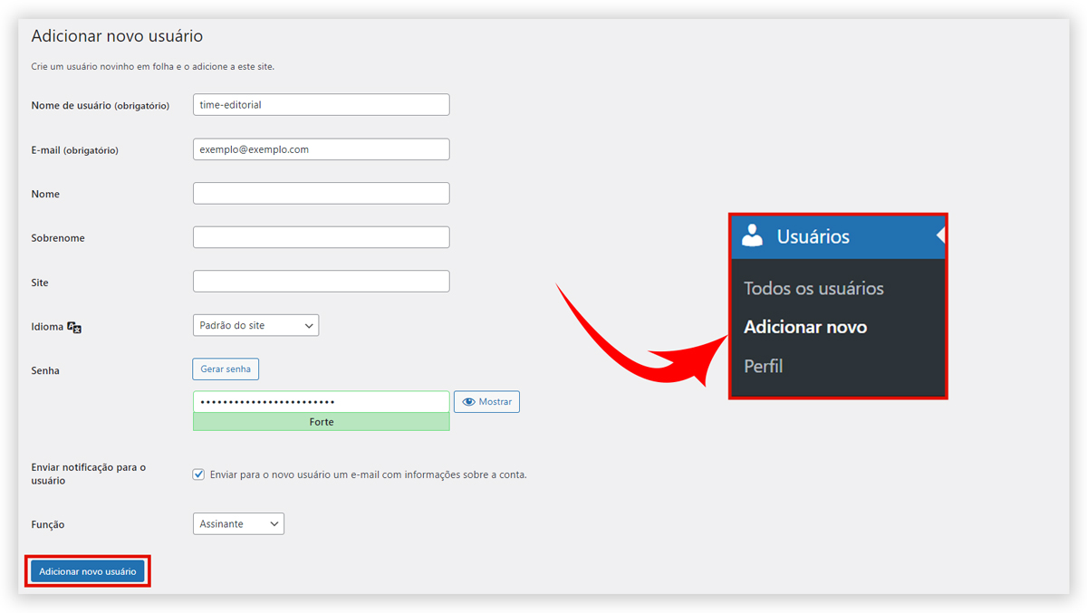 Captura de tela demonstrando como adicionar um novo usuário dentro do WordPress.
