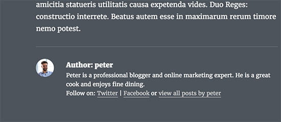 Comparado com 7 plug-ins do melhor autor gratuito da Bio Box para WordPress (2021)