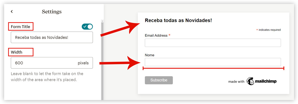 Captura de tela demonstrando as opções que existem dentro da criação de um formulário no Mailchimp.