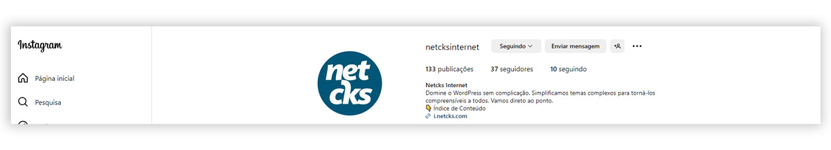 Pagina inicial do Instagram da Netcks.
