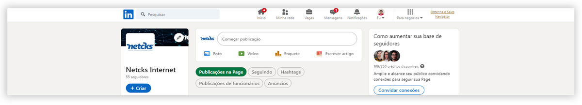 Pagina inicial do LinkedIn da Netcks.