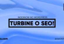 IndexNow no WordPress: Turbine seu SEO! #35 Imagem Destacada do Post #35