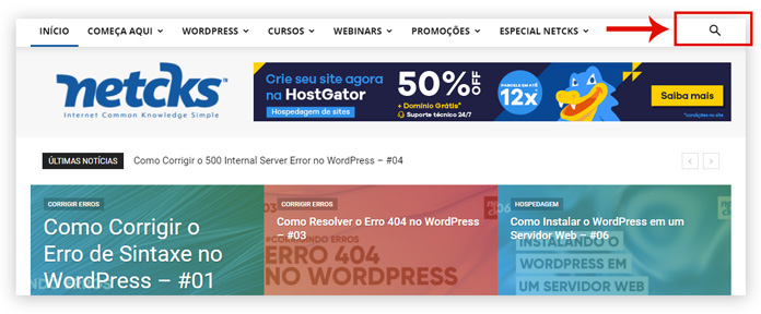 Captura de tela demonstrando onde e como fica a caixa de pesquisa do site da Netcks.