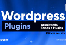 Como Mudar a Versão de Temas e Plugins no WordPress #38 Imagem Destacada do Post #38